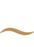 Pacific Climate Group